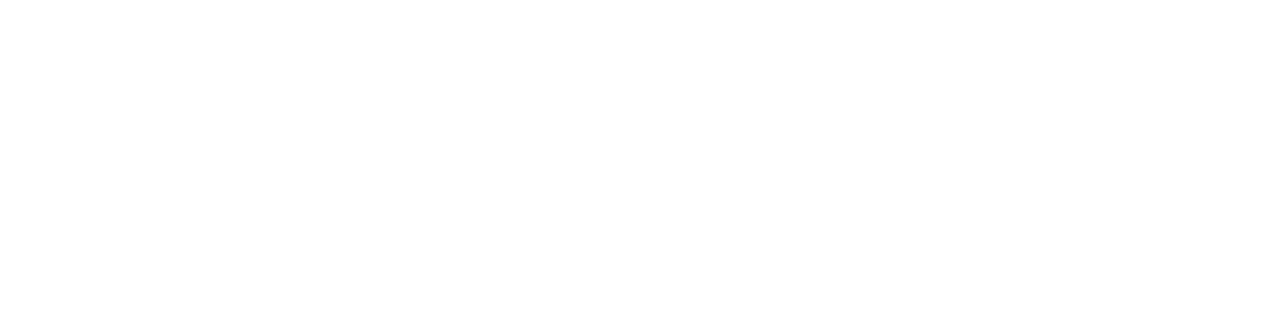 Sentinel Tax